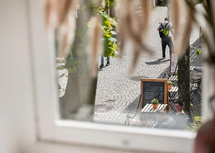 Newly Renovated 1 Bedroom In Heart Of *