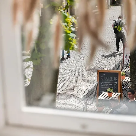 Newly Renovated 1 Bedroom In Heart Of *